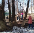 Субботники по благоустройству территорий