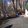 Субботники по благоустройству территорий