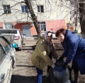 Субботники по благоустройству территорий