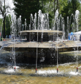 День здоровья