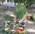 День цветов в парке имени Аксакова