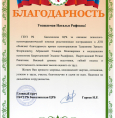 Благодарность от главного врача ГБУЗ РБ Бакалинская ЦРБ