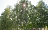 Фотогалерея