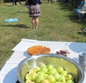 Празднование яблочного спаса