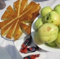 Празднование яблочного спаса