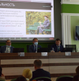 Стратегии преодоления кризисных ситуаций: в жизни, в профессии, в социуме