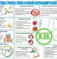 Профилактика гриппа и ОРВИ