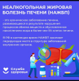 Неделя профилактики заболеваний печени