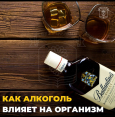 Как алкоголь влияет на организм