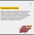 Как алкоголь влияет на организм