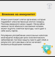 Как алкоголь влияет на организм