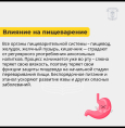 Как алкоголь влияет на организм