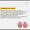 Как алкоголь влияет на организм