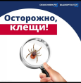 Сезон клещей уже начался!