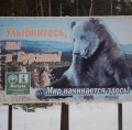Уроки когнитивно – поведенческой терапии на лоне башкирской  природы